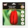 Tulip Triumph Delta RED, rr 11/12, 5 pcs, autumn 2024