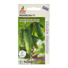 Seeds of cucumber 