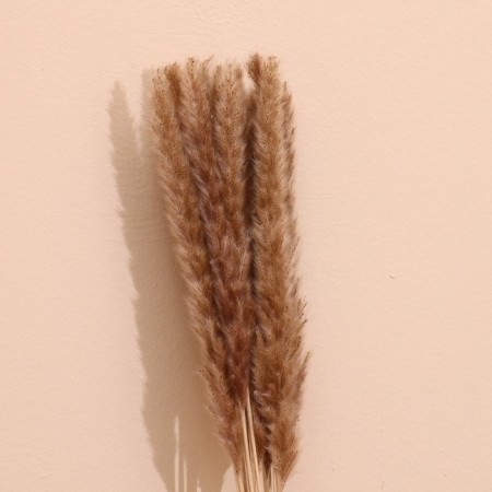 Set of dried flowers 80 cm (10 pcs) natural-3