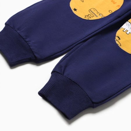 A set for a boy (sweatshirt, trousers), mustard color, height 104 cm-10