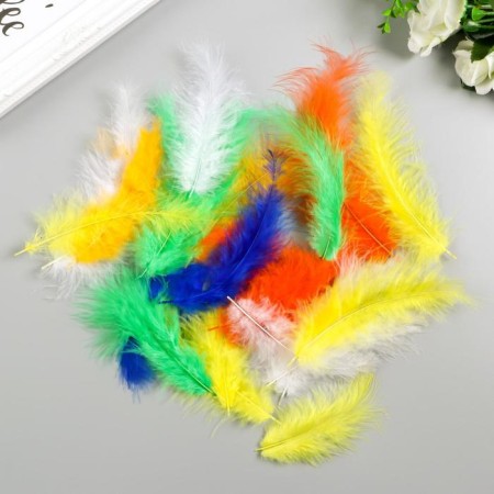Decorative ostrich feathers, 10-12 cm (set 24 pcs) 6 colors, bright, assorted
