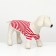 Animal T -shirt, L (DS 34, OG 46 cm), red