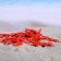 A set of natural sea stars, 1.5-2 cm, 20 pcs, red