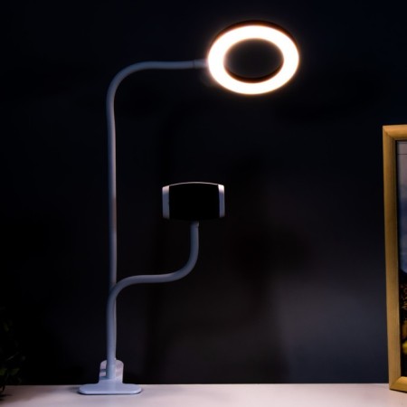 Board Octopus LED USB Rose 11x63 cm Risalux-3