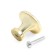 Handle button tundra RK018gp, color gold