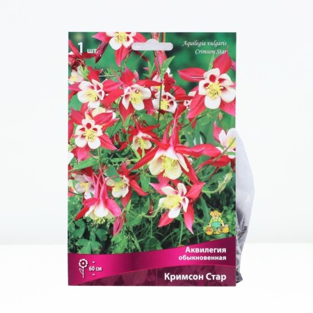 Aquilegia Ordinary Crimson Star, Rr. I, 1 pc, Spring 2025