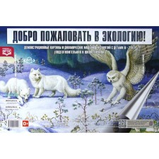 Добро пожаловать в экологию. Демонстрационные картины и динамические модели для детей от 6 до 7 лет. Воронкевич О.А.