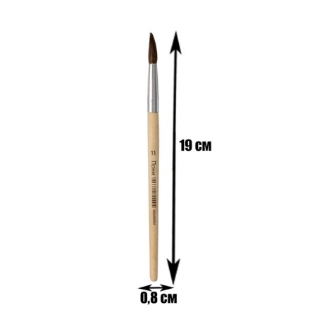 Ponya Brush No. 11, round-1