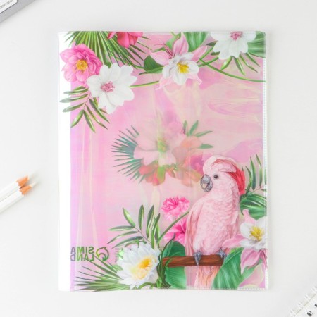 Holographic cover for the NOVES Note, 34.7 x 21.1 cm-3