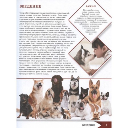 The best illustrated encyclopedia. Dogs-2