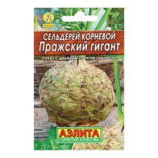 Celery seeds of the root 
