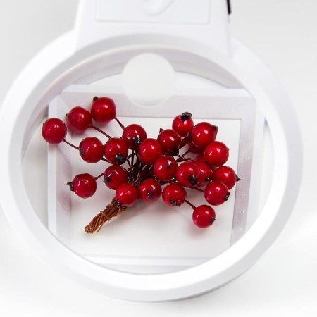 Lupa lamp for LEDX2 creativity from 3AAA white 24.5x22x15.5 cm-2