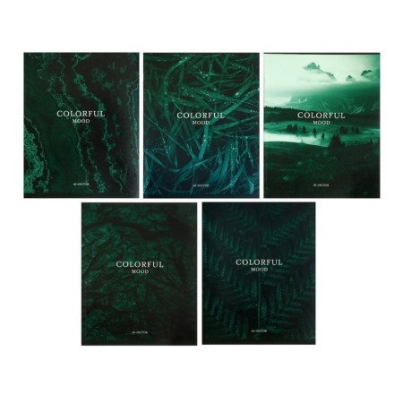 Notebook of 48 sheets in the Calligrata Emerald Cage, covered cardboard, block No. 2, whiteness 75% (gray sheets), mix