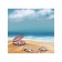 Organizer in a bath on suction cups “A shell with pearls on the sand”, for storing toys and trifles, size 33x39 cm