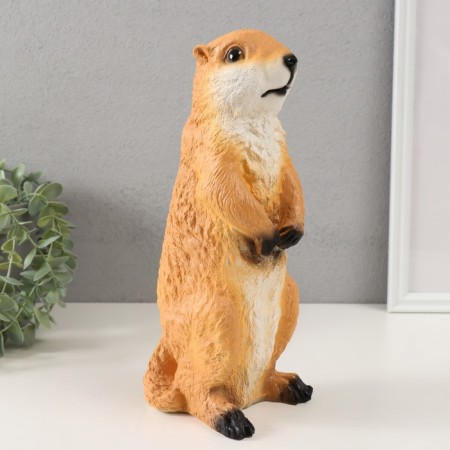 Piggy bank "gopher" height 28.5 cm, width 11 cm, length 11 cm-2
