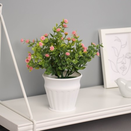 Bonsai in the Gomprane Premium Gofren Pot 21x10 cm, mix