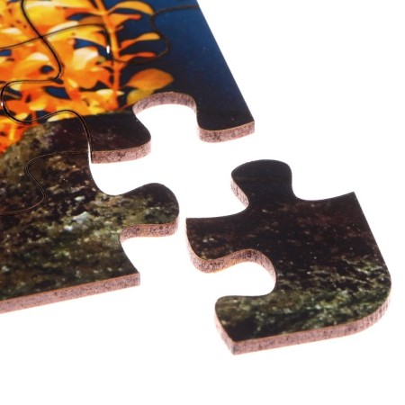 Puzzle series Fantasy "Fish", 54 details, size - 28 × 18.5 cm-3