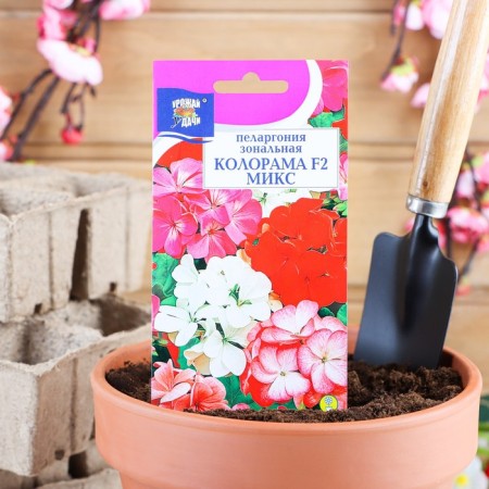 Flower seeds Pelargonium "Coloram", a mixture of colors, 0.03 g