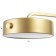 Sconces with switch "Pianty" LED 12W 4000k gold 15x26x16cm