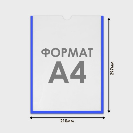Pocket for information flat A4, vertical, plastic, without adhesive tape, blue color-1