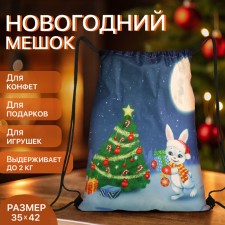 New Year 2025. New Year's bag for gifts on the cord 