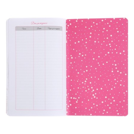 Notebook for girls 130 x 210 mm, 56 sheets in the Blueberry line, covered cardboard, Soft-Touch lamination, selective UV-lace-13