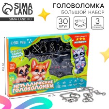 Metal puzzle 30 pcs 