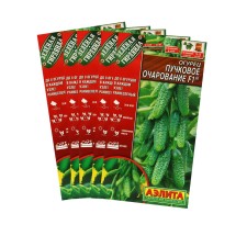 Seeds of cucumber 