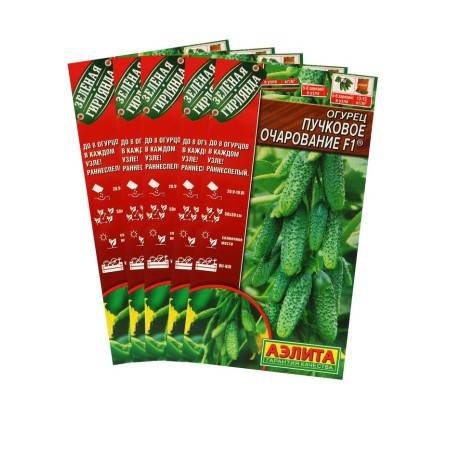 Seeds of cucumber "Board charm", F1, set 5 pcs