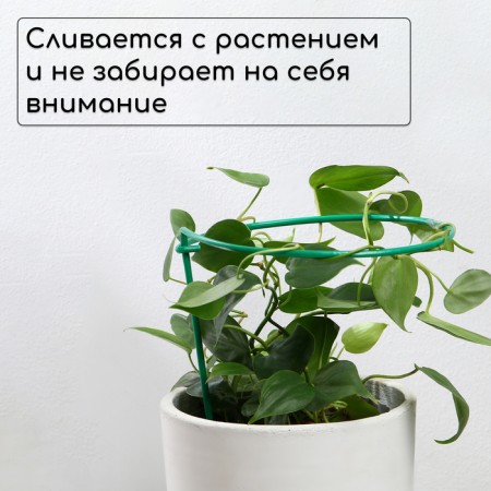Builder for strawberries, d = 20 cm, h = 25 cm, leg d = 0.3 cm, metal, green, Greengo-2