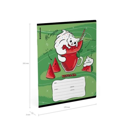 Notebook of 18 sheets in the Erichkrause "Smoothy", cover coated cardboard, mix-11