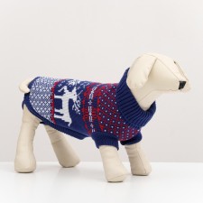 Sweater knitted with the ornament 