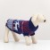 Sweater knitted with the ornament "Deer", Size L (DS 26, OG 32-42, Osh 22-32 cm), Blue