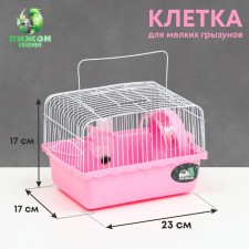 The cage for rodents 