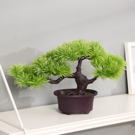 Bonsai in the Dendroart pot 12x17 cm, mix-2