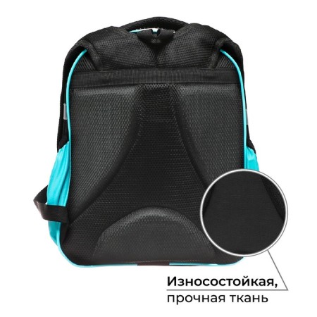School backpack, 37 x 28 x 19 cm, calligrata volt "Cat Panda"-1