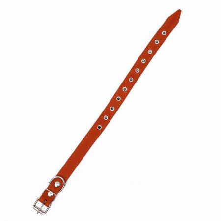 Leather collar on synthetic winterizer, dimensionless, 54 x 2.5 cm, Osh 19-47 cm, orange-2