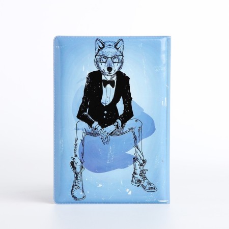 Cover for passport, blue color-2