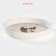 Plate porcelain dining "cats-aristocrats", d = 21.5 cm, white color