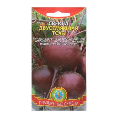 Seeds of two -piece TSHA beets