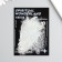Stickers for creativity "Holography. Feathers" d = 10 cm set 10 pcs 0.2x14x11 cm