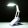 Board "cat" LED 4W USB battery white-violet 7x13x35 cm Risalux