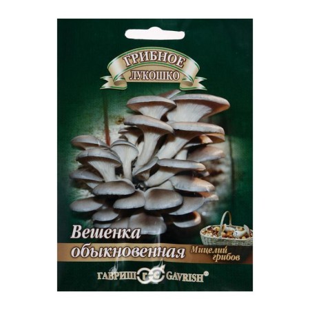 Seeds of the Mycelium "Eyed Economic", on a tree stick, 12 pcs.