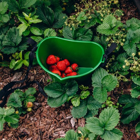 Berry collection container, 3 l, dark green-12