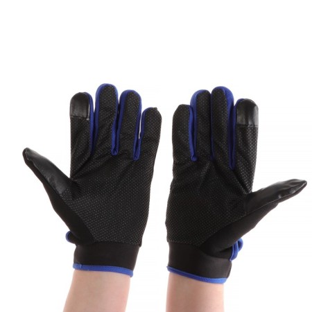 Motorcycle gloves, off-season, single-sized, black and blue-1