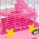 The cage for rodents "Pigzon", 31 x 24 x 46 cm, pink