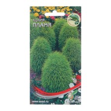Cochia Flower Flower Seeds, 70 pcs