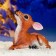 Garden figure "lying deer" from gypsum good souvenirs, 24 cm, medium, brown