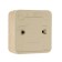 Universal Olympus switch, 10 a, 1 key, external, pine color