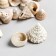 Decorative shells "Zlatka" 100 g ± 7 g, 2.5 cm